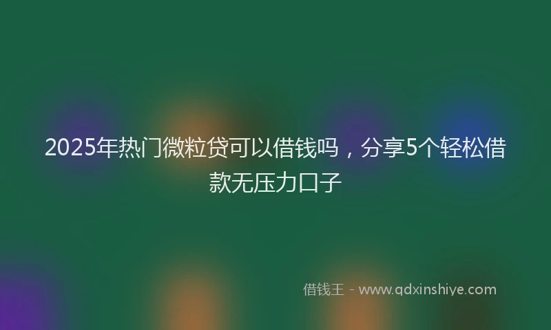2025年热门微粒贷可以借钱吗，分享5个轻松借款无压力口子