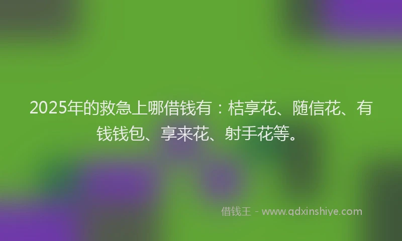 2025年的救急上哪借钱有：桔享花、随信花、有钱钱包、享来花、射手花等。