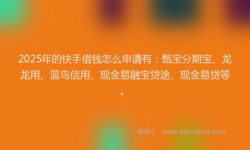 2025年的快手借钱怎么申请有：甄宝分期宝、龙龙用、蓝鸟信用、现金易融宝贷途、现金易贷等。