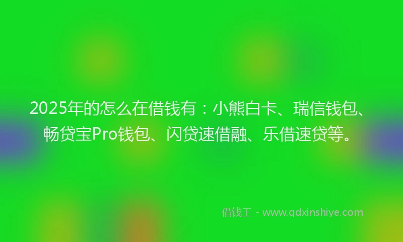 2025年的怎么在借钱有：小熊白卡、瑞信钱包、畅贷宝Pro钱包、闪贷速借融、乐借速贷等。