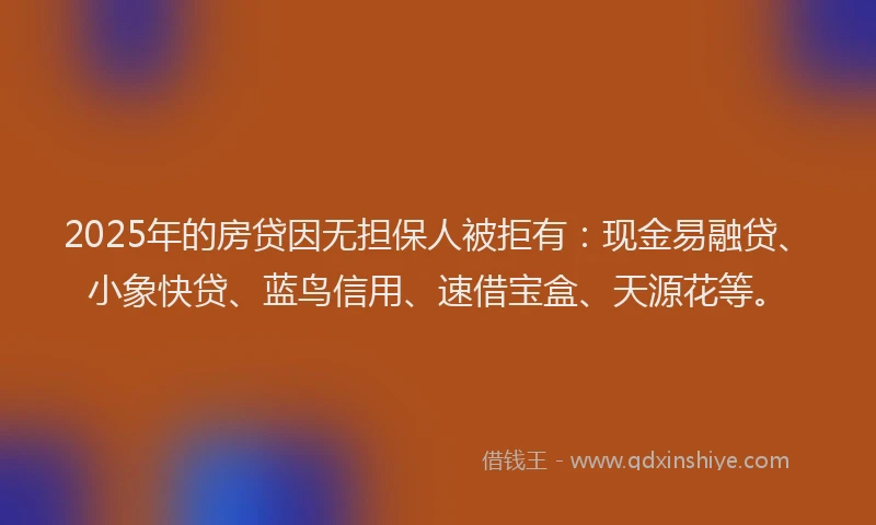 2025年的房贷因无担保人被拒有：现金易融贷、小象快贷、蓝鸟信用、速借宝盒、天源花等。