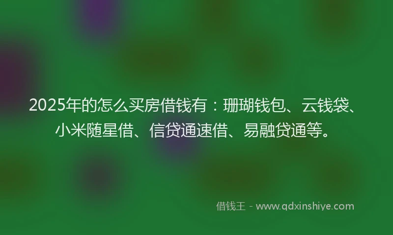 2025年的怎么买房借钱有：珊瑚钱包、云钱袋、小米随星借、信贷通速借、易融贷通等。