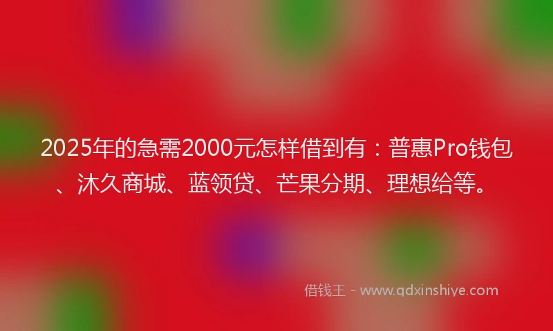 2025年的急需2000元怎样借到有：普惠Pro钱包、沐久商城、蓝领贷、芒果分期、理想给等。