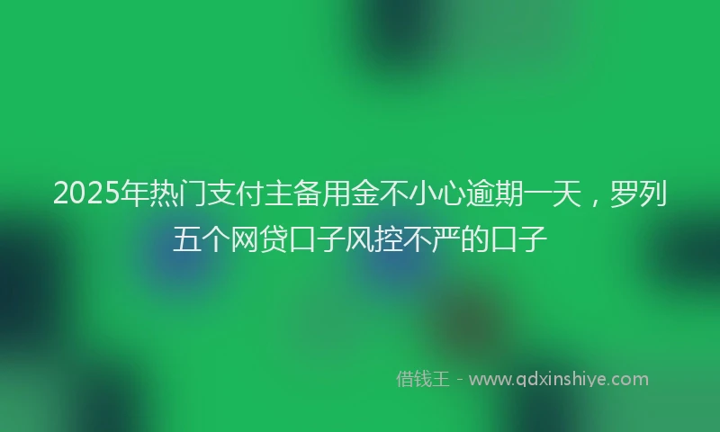 2025年热门支付主备用金不小心逾期一天，罗列五个网贷口子风控不严的口子
