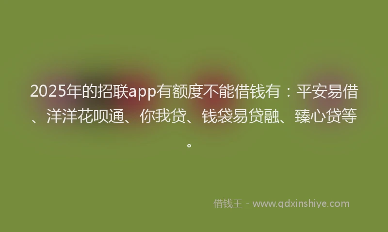 2025年的招联app有额度不能借钱有：平安易借、洋洋花呗通、你我贷、钱袋易贷融、臻心贷等。