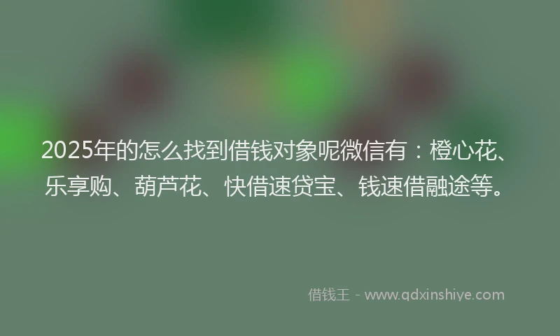 2025年的怎么找到借钱对象呢微信有：橙心花、乐享购、葫芦花、快借速贷宝、钱速借融途等。