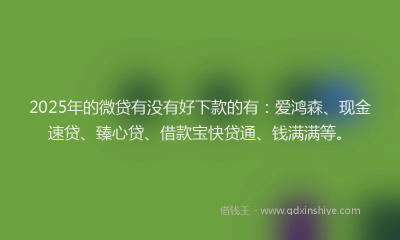 2025年的微贷有没有好下款的有：爱鸿森、现金速贷、臻心贷、借款宝快贷通、钱满满等。