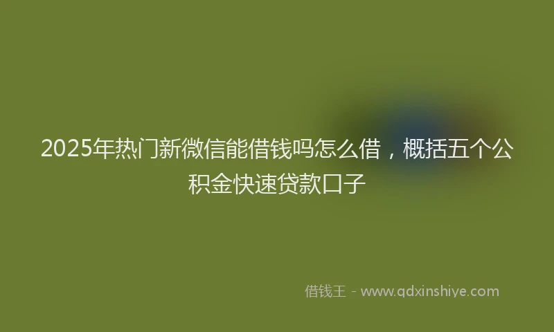 2025年热门新微信能借钱吗怎么借，概括五个公积金快速贷款口子