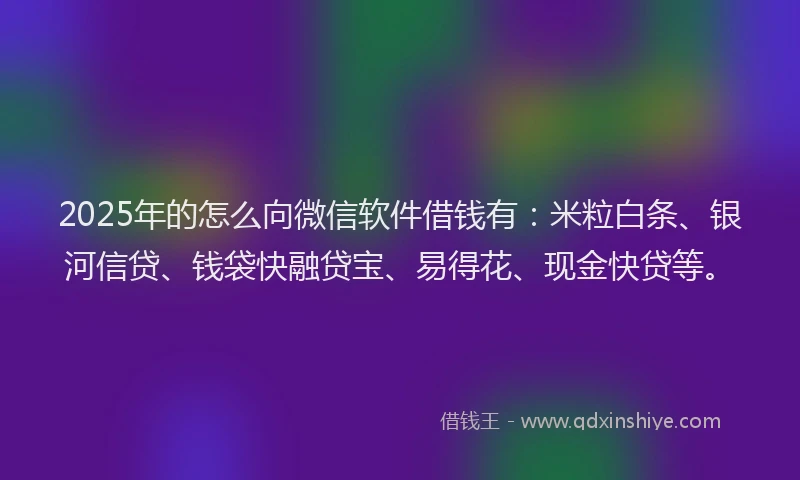 2025年的怎么向微信软件借钱有：米粒白条、银河信贷、钱袋快融贷宝、易得花、现金快贷等。
