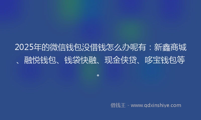 2025年的微信钱包没借钱怎么办呢有：新鑫商城、融悦钱包、钱袋快融、现金侠贷、哆宝钱包等。