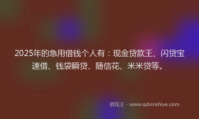 2025年的急用借钱个人有：现金贷款王、闪贷宝速借、钱袋瞬贷、随信花、米米贷等。