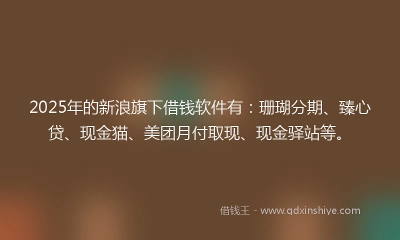 2025年的新浪旗下借钱软件有：珊瑚分期、臻心贷、现金猫、美团月付取现、现金驿站等。