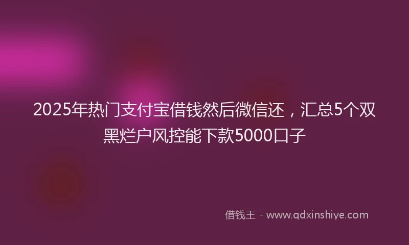 2025年热门支付宝借钱然后微信还，汇总5个双黑烂户风控能下款5000口子
