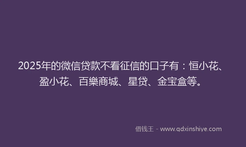 2025年的微信贷款不看征信的口子有：恒小花、盈小花、百樂商城、星贷、金宝盒等。