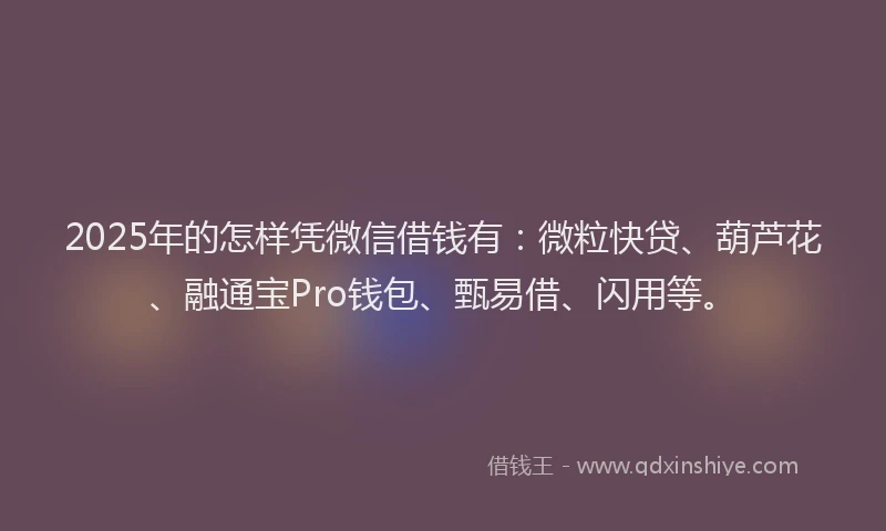 2025年的怎样凭微信借钱有：微粒快贷、葫芦花、融通宝Pro钱包、甄易借、闪用等。