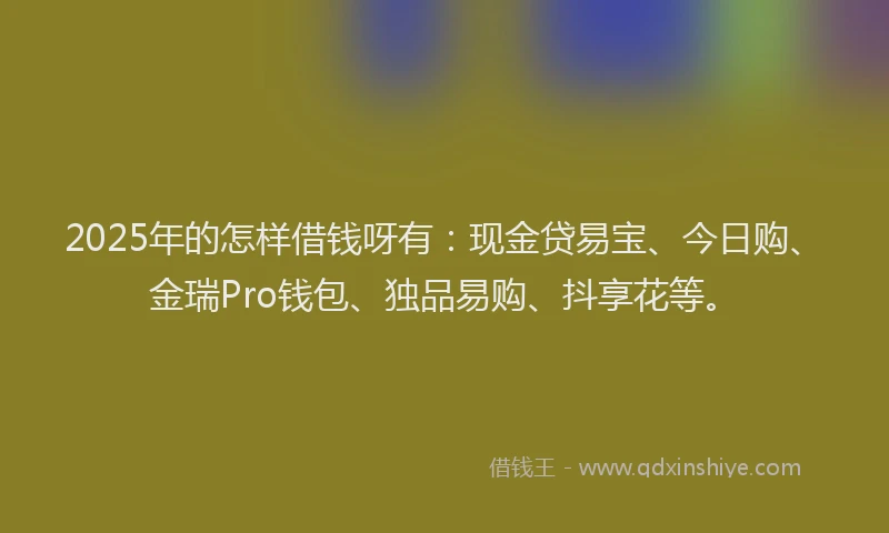 2025年的怎样借钱呀有：现金贷易宝、今日购、金瑞Pro钱包、独品易购、抖享花等。