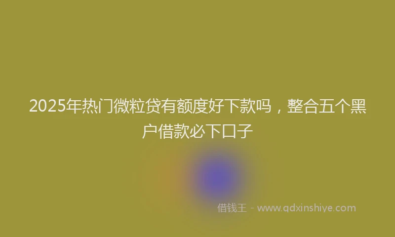 2025年热门微粒贷有额度好下款吗，整合五个黑户借款必下口子
