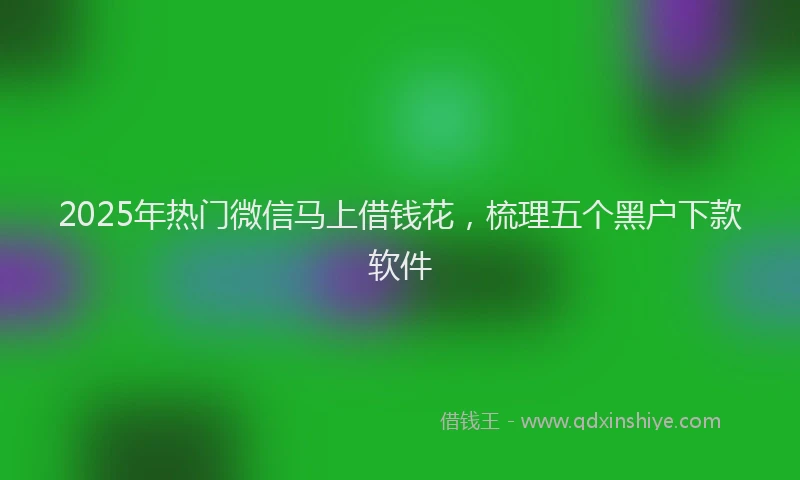 2025年热门微信马上借钱花，梳理五个黑户下款软件