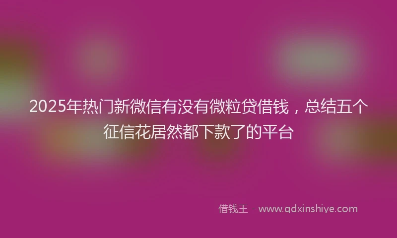 2025年热门新微信有没有微粒贷借钱，总结五个征信花居然都下款了的平台