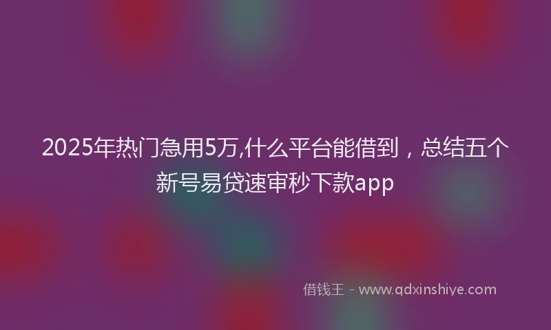 2025年热门急用5万,什么平台能借到，总结五个新号易贷速审秒下款app