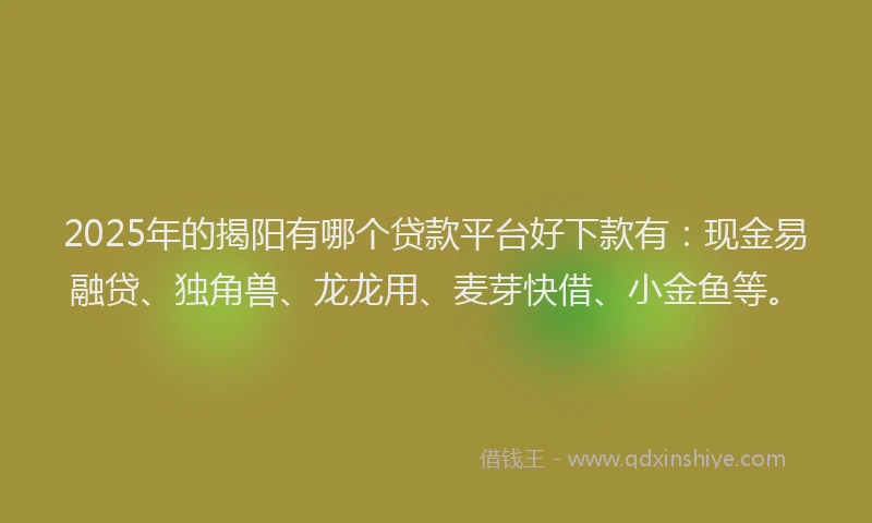 2025年的揭阳有哪个贷款平台好下款有：现金易融贷、独角兽、龙龙用、麦芽快借、小金鱼等。