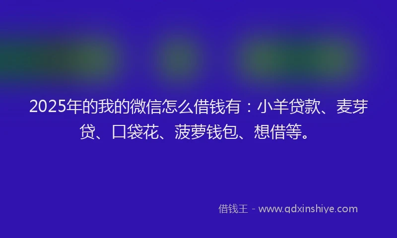 2025年的我的微信怎么借钱有：小羊贷款、麦芽贷、口袋花、菠萝钱包、想借等。