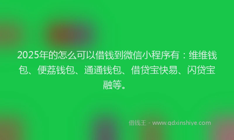 2025年的怎么可以借钱到微信小程序有：维维钱包、便荔钱包、通通钱包、借贷宝快易、闪贷宝融等。