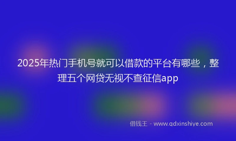 2025年热门手机号就可以借款的平台有哪些，整理五个网贷无视不查征信app