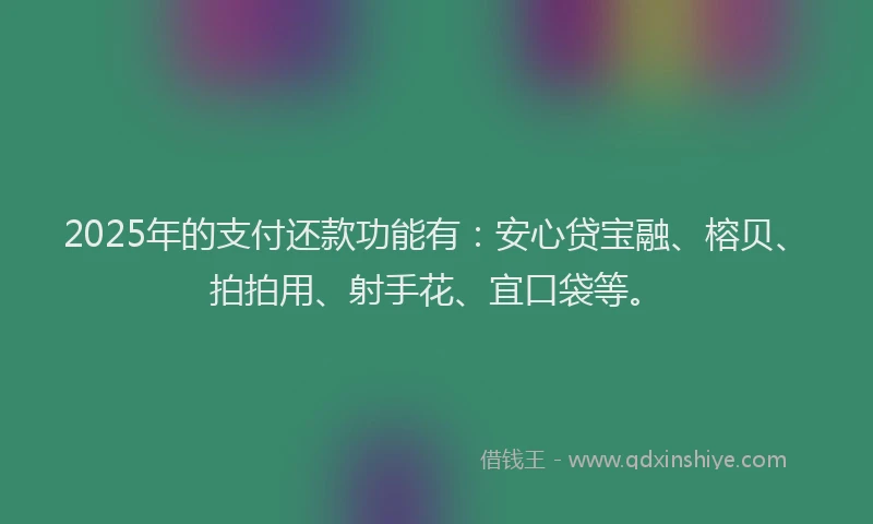 2025年的支付还款功能有：安心贷宝融、榕贝、拍拍用、射手花、宜口袋等。
