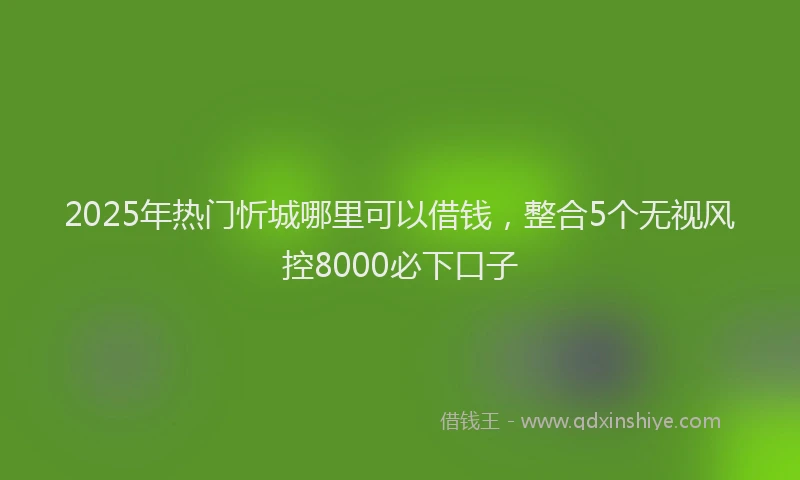 2025年热门忻城哪里可以借钱，整合5个无视风控8000必下口子