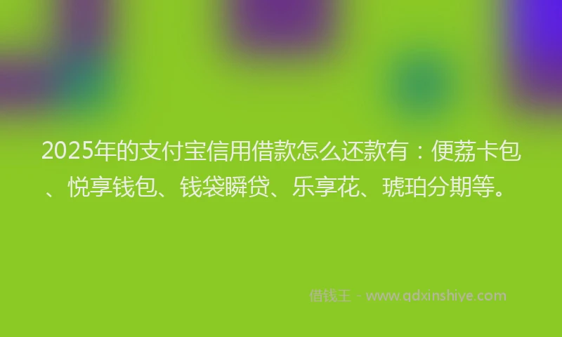 2025年的支付宝信用借款怎么还款有：便荔卡包、悦享钱包、钱袋瞬贷、乐享花、琥珀分期等。