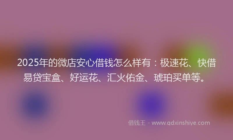 2025年的微店安心借钱怎么样有：极速花、快借易贷宝盒、好运花、汇火佑金、琥珀买单等。