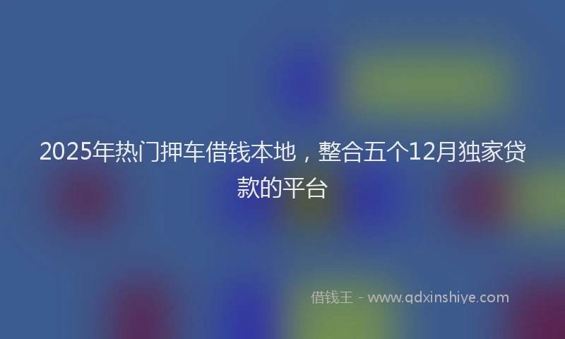 2025年热门押车借钱本地，整合五个12月独家贷款的平台