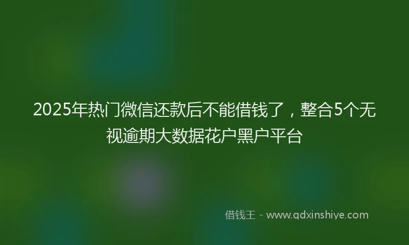 2025年热门微信还款后不能借钱了，整合5个无视逾期大数据花户黑户平台
