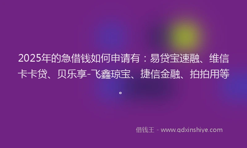 2025年的急借钱如何申请有：易贷宝速融、维信卡卡贷、贝乐享-飞鑫琼宝、捷信金融、拍拍用等。