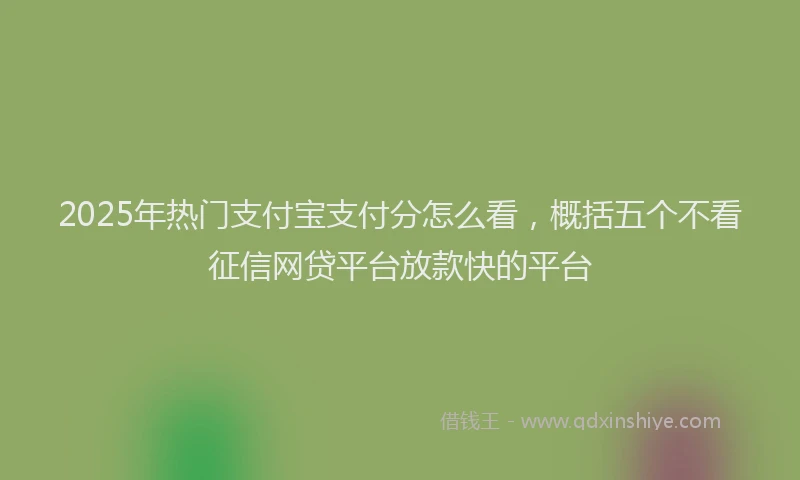 2025年热门支付宝支付分怎么看，概括五个不看征信网贷平台放款快的平台