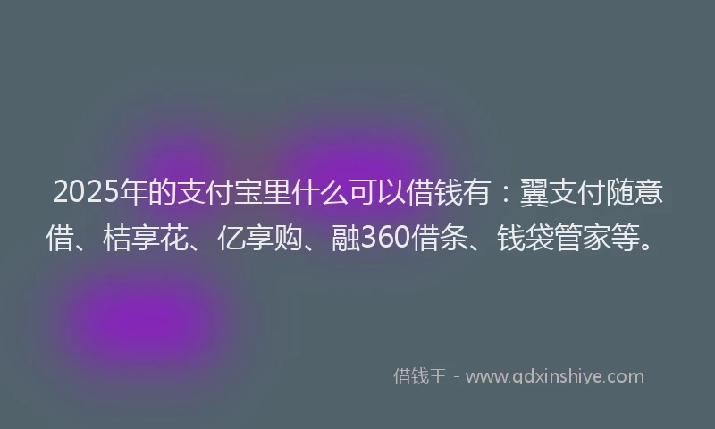 2025年的支付宝里什么可以借钱有：翼支付随意借、桔享花、亿享购、融360借条、钱袋管家等。