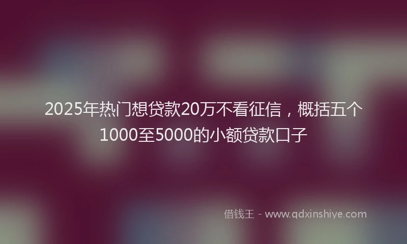 2025年热门想贷款20万不看征信，概括五个1000至5000的小额贷款口子