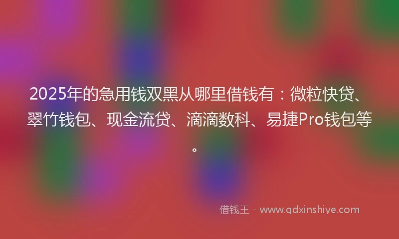 2025年的急用钱双黑从哪里借钱有：微粒快贷、翠竹钱包、现金流贷、滴滴数科、易捷Pro钱包等。