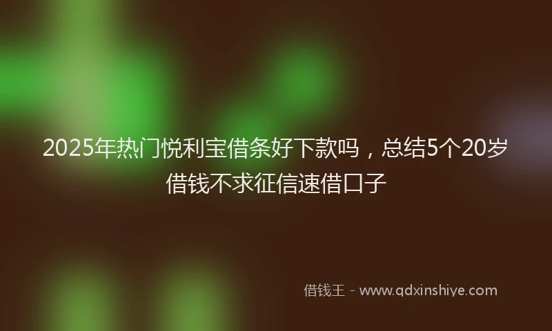 2025年热门悦利宝借条好下款吗，总结5个20岁借钱不求征信速借口子