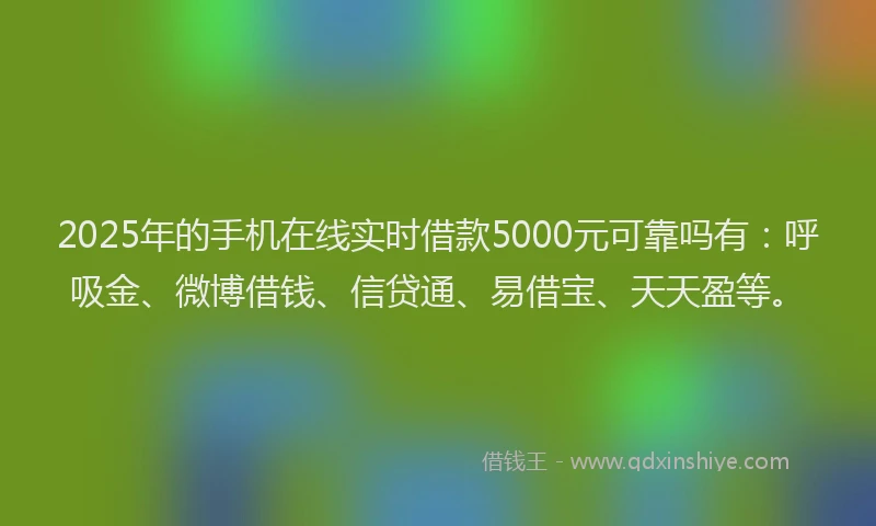 2025年的手机在线实时借款5000元可靠吗有：呼吸金、微博借钱、信贷通、易借宝、天天盈等。