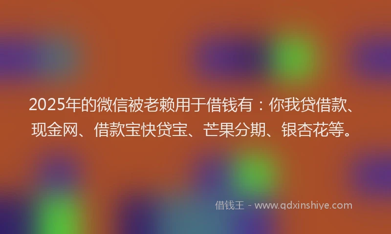 2025年的微信被老赖用于借钱有：你我贷借款、现金网、借款宝快贷宝、芒果分期、银杏花等。