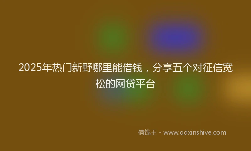 2025年热门新野哪里能借钱，分享五个对征信宽松的网贷平台