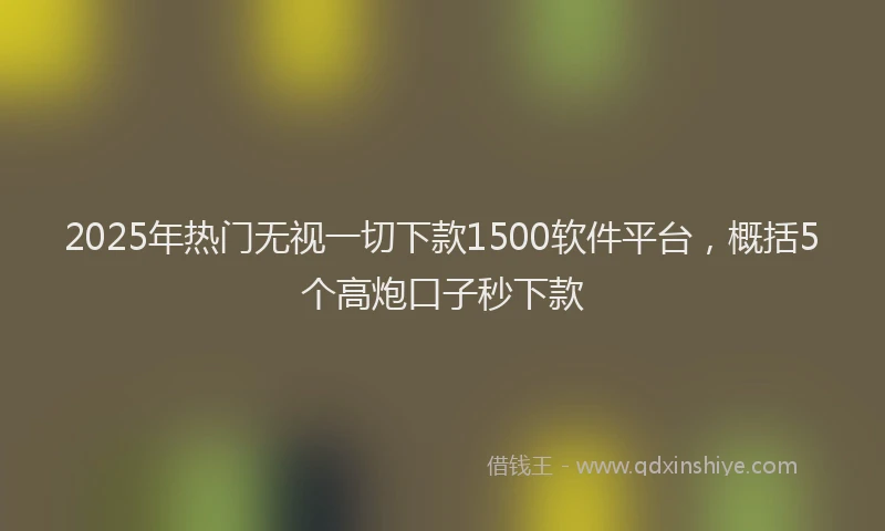 2025年热门无视一切下款1500软件平台，概括5个高炮口子秒下款