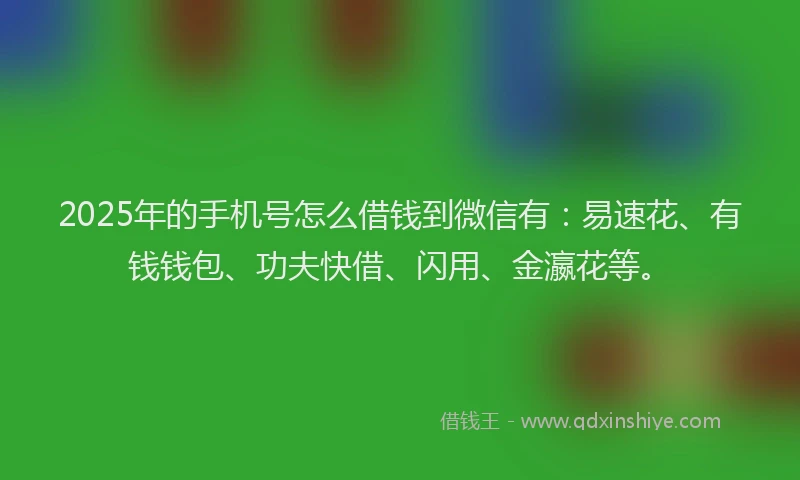 2025年的手机号怎么借钱到微信有：易速花、有钱钱包、功夫快借、闪用、金瀛花等。