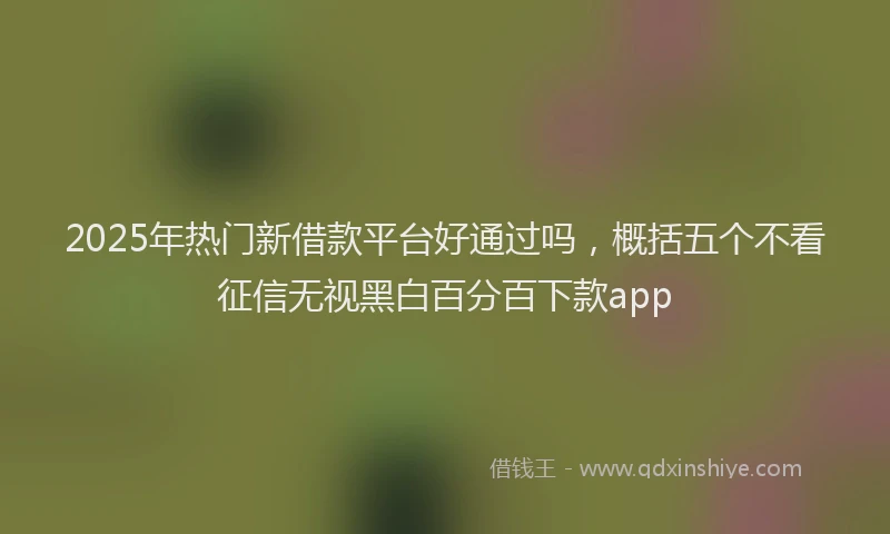 2025年热门新借款平台好通过吗，概括五个不看征信无视黑白百分百下款app