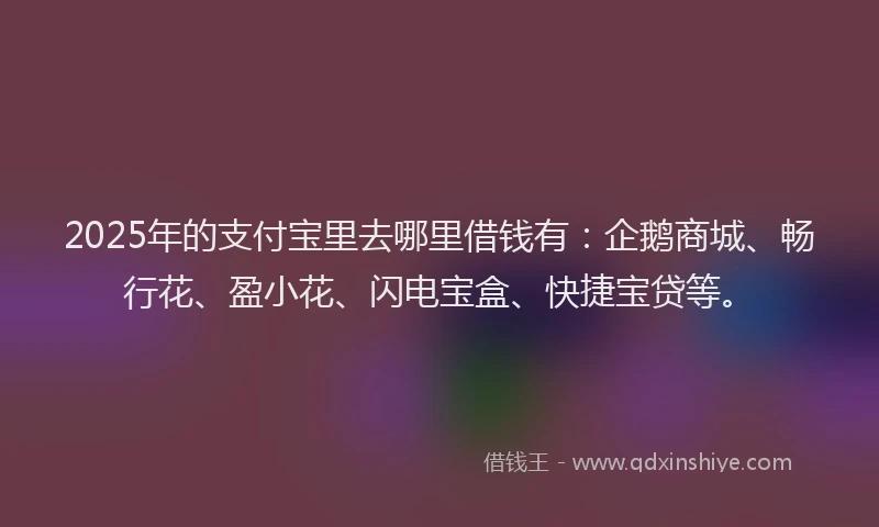 2025年的支付宝里去哪里借钱有：企鹅商城、畅行花、盈小花、闪电宝盒、快捷宝贷等。