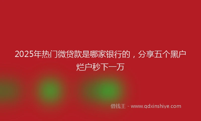 2025年热门微贷款是哪家银行的，分享五个黑户烂户秒下一万