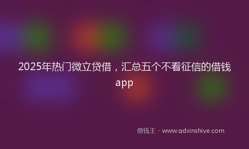 2025年热门微立贷借，汇总五个不看征信的借钱app