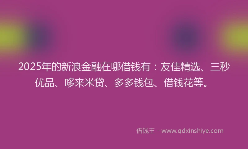 2025年的新浪金融在哪借钱有：友佳精选、三秒优品、哆来米贷、多多钱包、借钱花等。